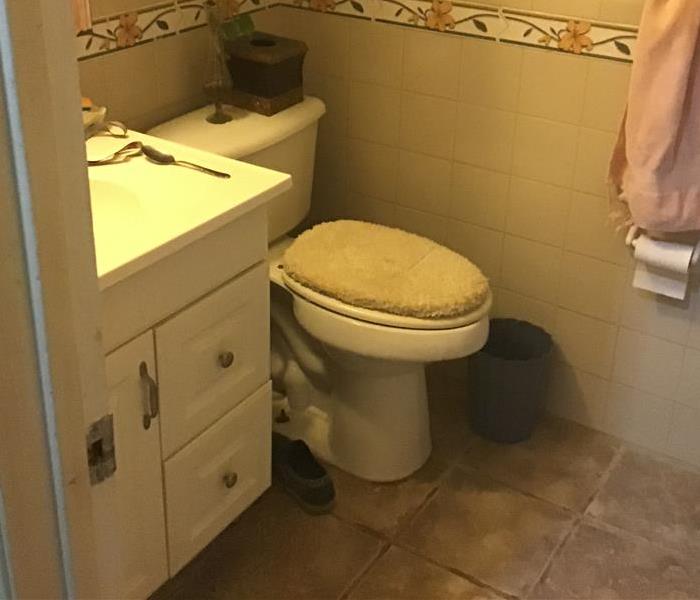 san-antonio-toilet-over-flow-water-loss-in-78242-before-and-after-photo