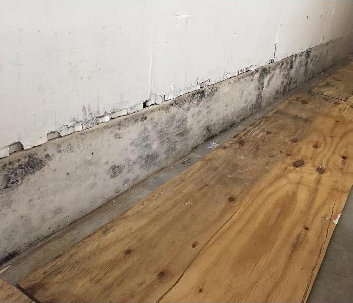 mold on drywall and wall board; flooring removed