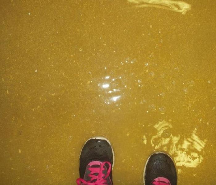 Person in sneakers with pink laces standing in dirty water