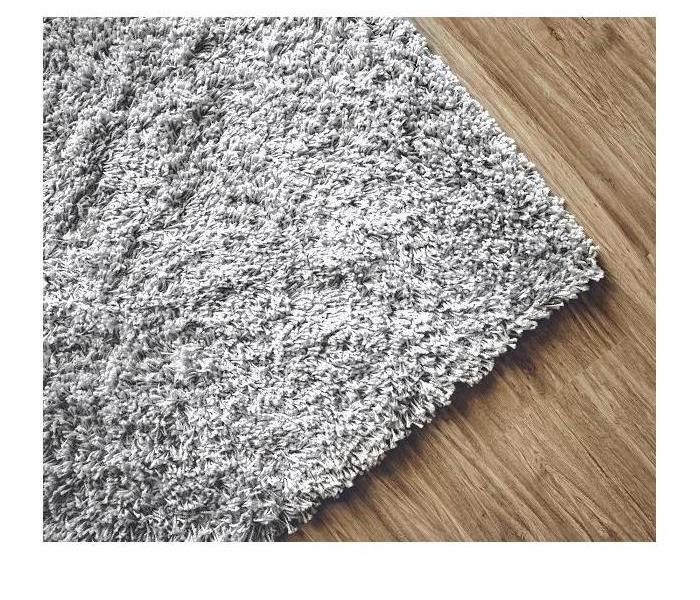 Wet gray carpet 
