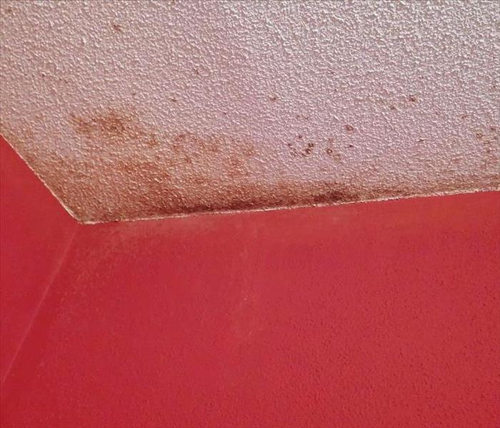 Red wall and mold on the white ceiling