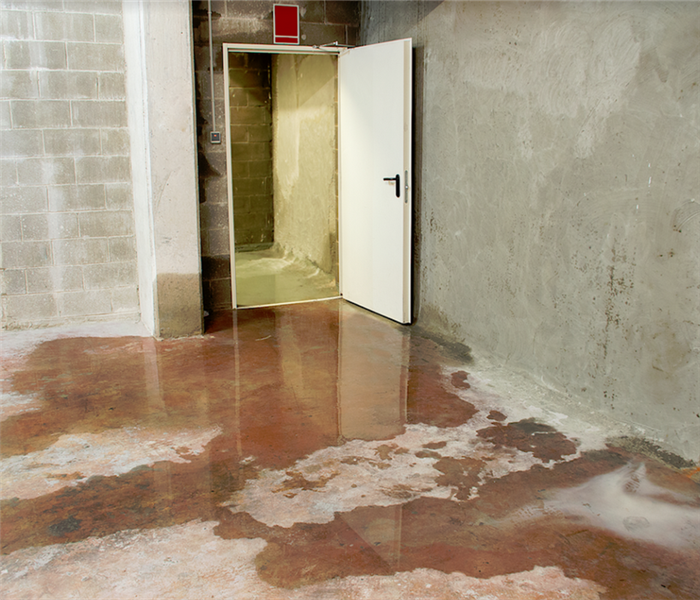 puddles of water in a basement from storm damage