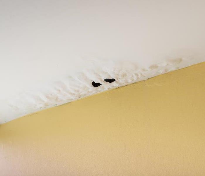 Black water damage on a ceiling next to a beige wall