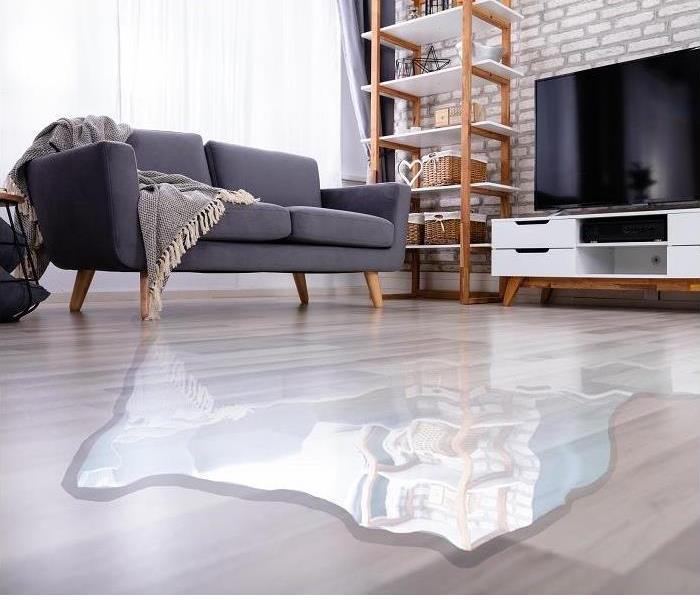Water pooling on living room floor