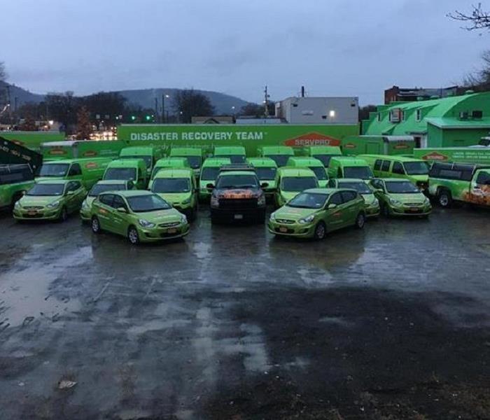 Green SERVPRO fleet vehicles lined up including vans, trucks and big rig in the back